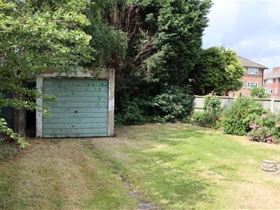 Picture 14